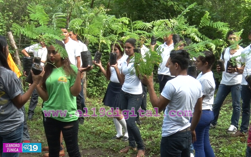vivero